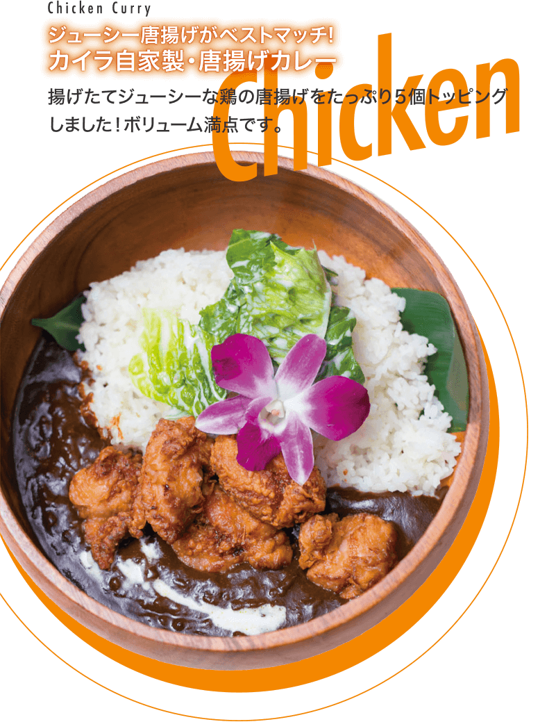 カイラ自家製・唐揚げカレー