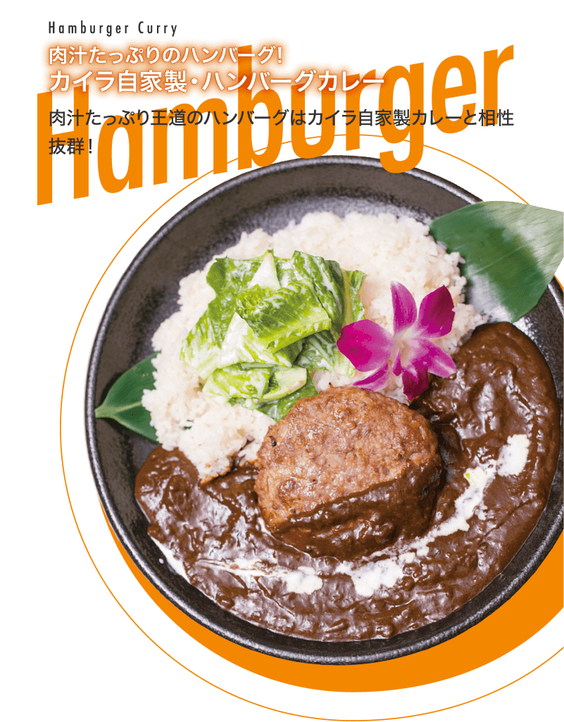 カイラ自家製・ハンバーグカレー