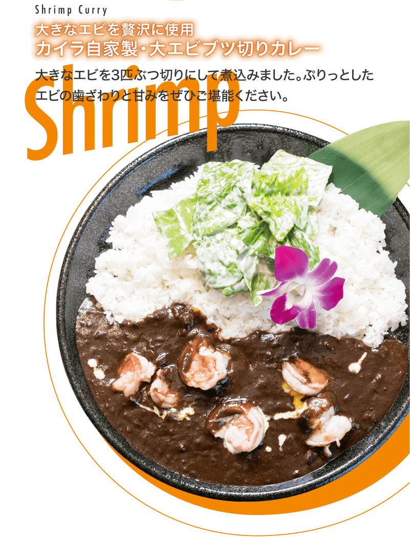 カイラ自家製・大エビブツ切りカレー