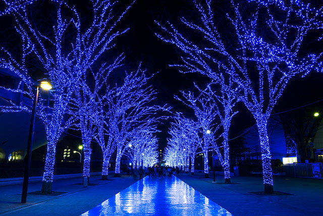 渋谷のイルミネーション♪